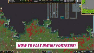How to Play Dwarf Fortress? 10 How to Play Dwarf Fortress?