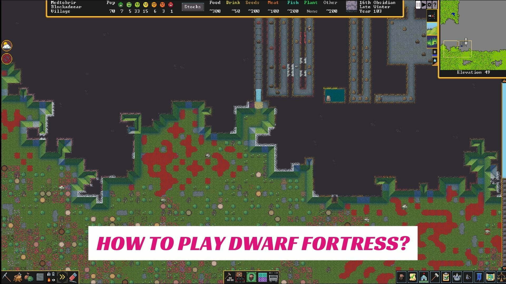 How To Play Dwarf Fortress?