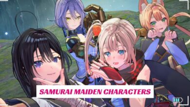 Samurai Maiden Characters 3 Samurai Maiden Characters