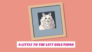 A Little to the Left Solutions