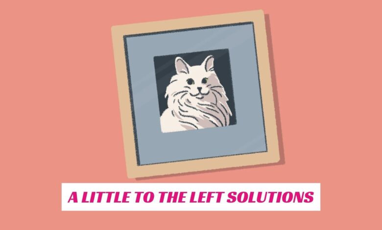 A Little To The Left Solutions